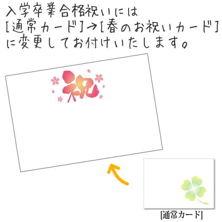 激安 スプラトゥーン イカ 入学 合格 卒業 お祝い バルーン電報 誕生日 プレゼント 選べるスプラトゥーン ビスコ入りランドセル 花束付ミニバルーンギフトm Materialworldblog Com