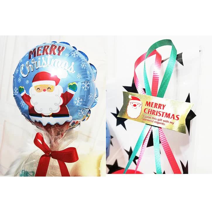 小学館 ドラえもん ドラミちゃん ぬいぐるみ クリスマス