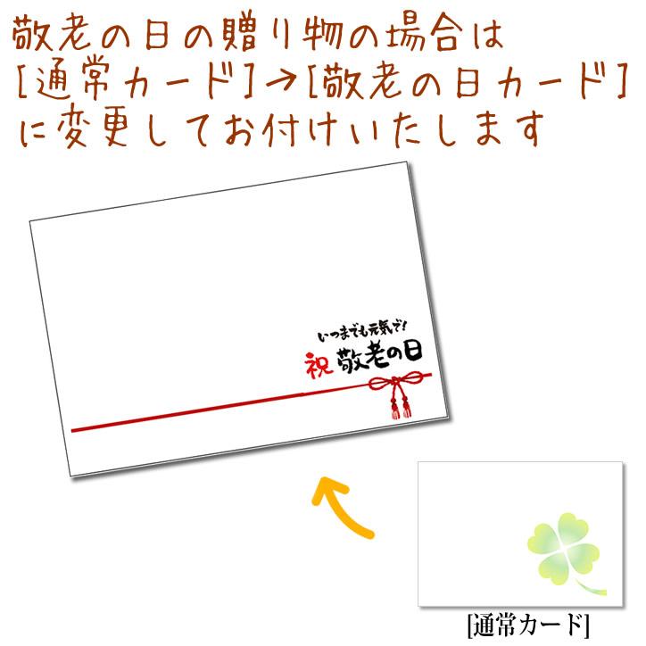 敬老 長寿祝 退職祝 花 ギフト プレゼント はりねずみ ハシビロコウ ふくろう クオッカ いつまでもお元気でゴールド ミニバルーン花束付きフラッフィーズS｜wac-up｜04