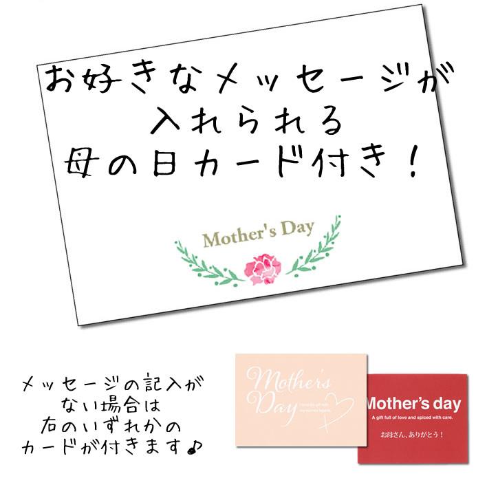 母の日 花 ギフト プレゼント 花束 カーネーション ブーケ ウサギ デイジー 母の日ミニバルーン花束付うさぎのポルカ(エプロン)セットM｜wac-up｜04