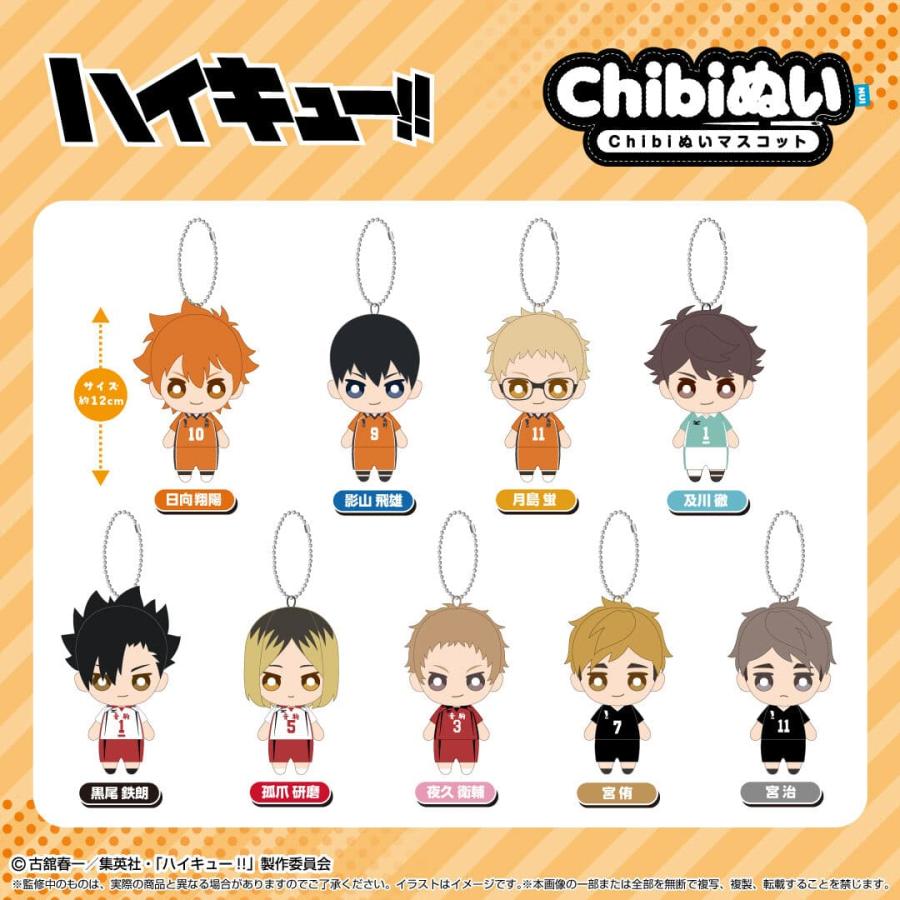 ハイキューバレーボール ママさんバレー 誕生日 バースデー プレゼント