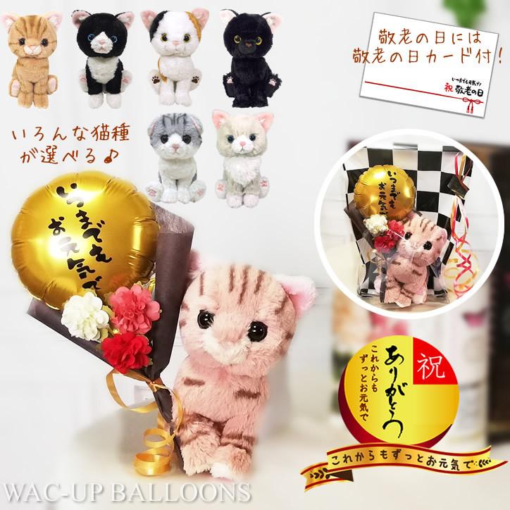 敬老の日 プレゼント バルーン電報 贈り物 ネコ スコティシュ アメリカンショート ラグドール ハチワレ いつまでもお元気で ミニバルーン花束付ぬいぐるみキトン Ytknab1flg バルーン電報ギフト専門店 Wac Up 通販 Yahoo ショッピング