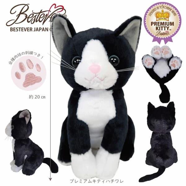 母の日 花 スコティシュフォールド アメショー ラグドール プレゼント