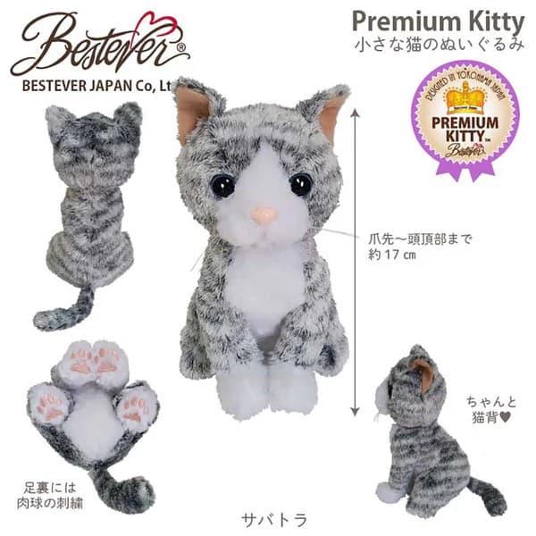 母の日 花 スコティシュフォールド アメショー ラグドール プレゼント