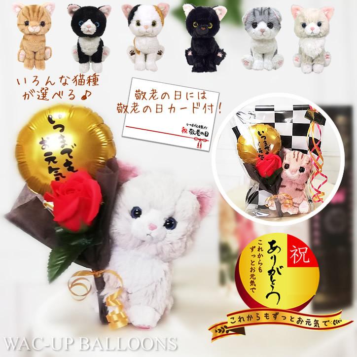 敬老の日 プレゼント バルーン電報 贈り物 ネコ アメリカンショート ラグドール いつまでもお元気で ミニバルーン 赤バラソープフラワー付ぬいぐるみキトン Ytknrd1rlg バルーン電報ギフト専門店 Wac Up 通販 Yahoo ショッピング