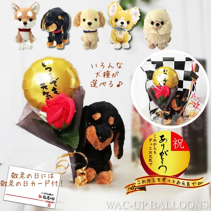 敬老の日 プレゼント チワワ トイプードル ダックス ポメラニアン レトリバー 柴犬 いつまでもお元気でバルーン 赤バラソープフラワーぬいぐるみpups Ytppdk1rlg バルーン電報ギフト専門店 Wac Up 通販 Yahoo ショッピング