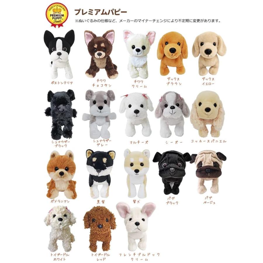 父の日 プレゼント 花束 感謝 お祝い 犬 ボストンテリア シュナウザー