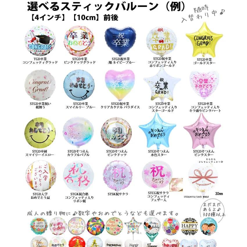 マイメロディ 卒業祝い 卒業式 袴姿 ぬいぐるみ サンリオ プレゼント 