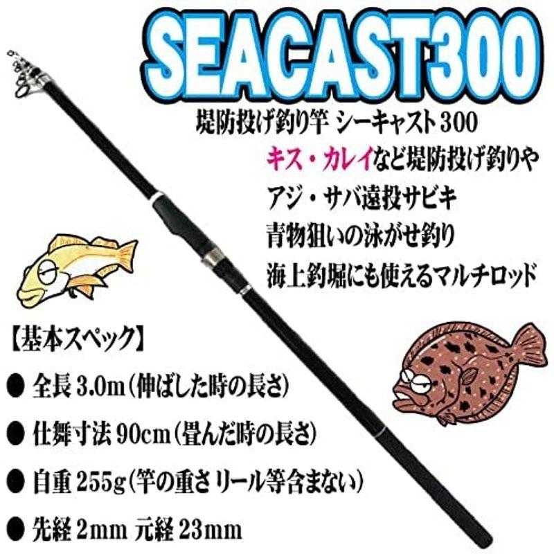 つり具ten 投げ釣りセット キス釣り 遠投サビキ カゴ釣り 海上釣堀 3 0ｍ 3 6ｍ 釣りセット 投げリール糸付 投げ竿シーキャス ワッカ 通販 Yahoo ショッピング