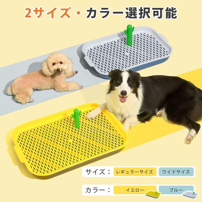最大75 Offクーポン Fracarkos 犬トイレ 犬 トイレ トレー おしゃれ トイレトレーニング ペットトレー ワイド ペット用 スノコ付き フチもれ防止 い Whitesforracialequity Org