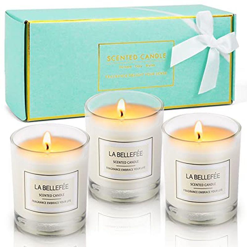 La Bellef E アロマキャンドル リラックス 人気 キャンドル アロマキャンドル ギフト あろまきゃんどる おしゃれ 大豆ワックスろ Itucu1otm4 Www Familyontour De