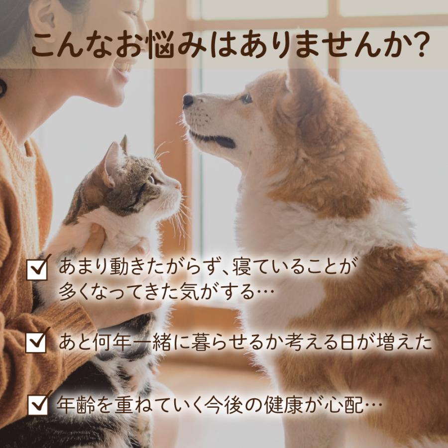 ペット NMN 犬 サプリメント 猫 サプリ ゴッドエイジ100 for 60g 日本