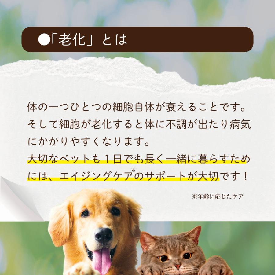 ペット NMN 犬 サプリメント 猫 サプリ ゴッドエイジ100 for 60g 日本