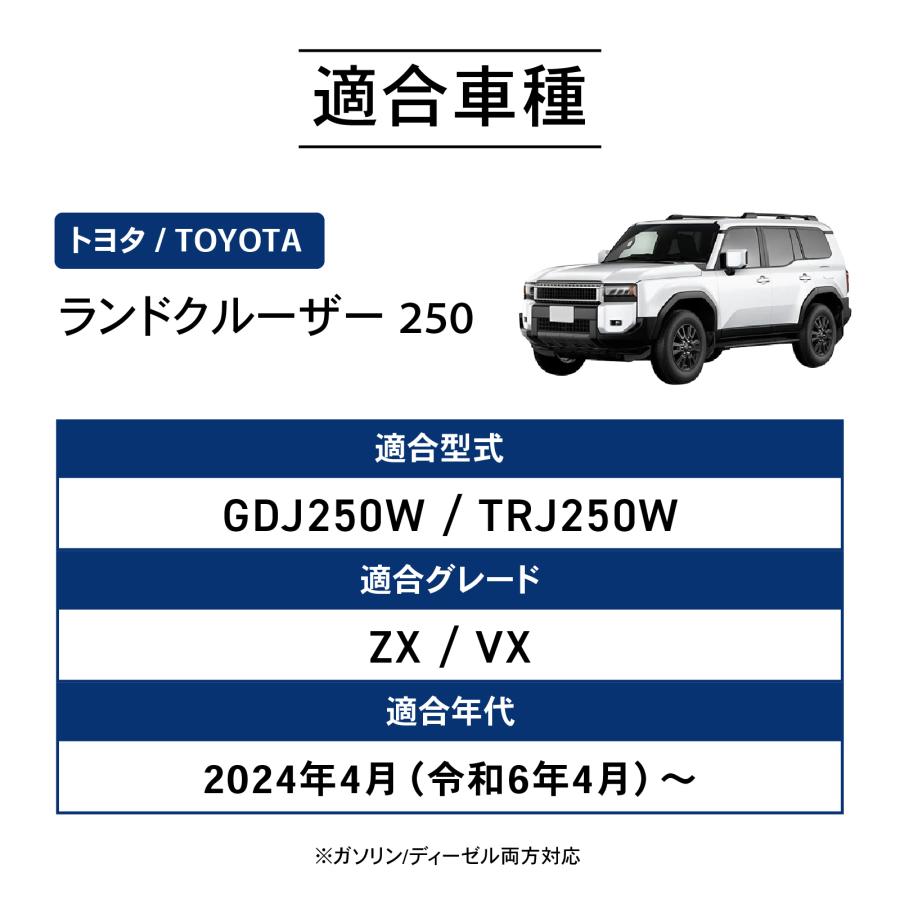 専用4体 ランドクルーザー 250 リアラダー ハーフ ランクル250
