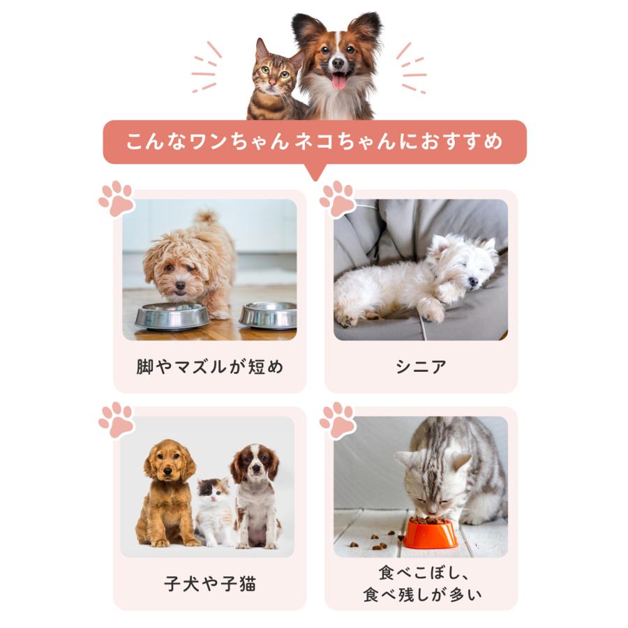 老犬 dbf シニア犬のおやつ 植物性乳酸菌K71配合 ササミ＆レバー 100g