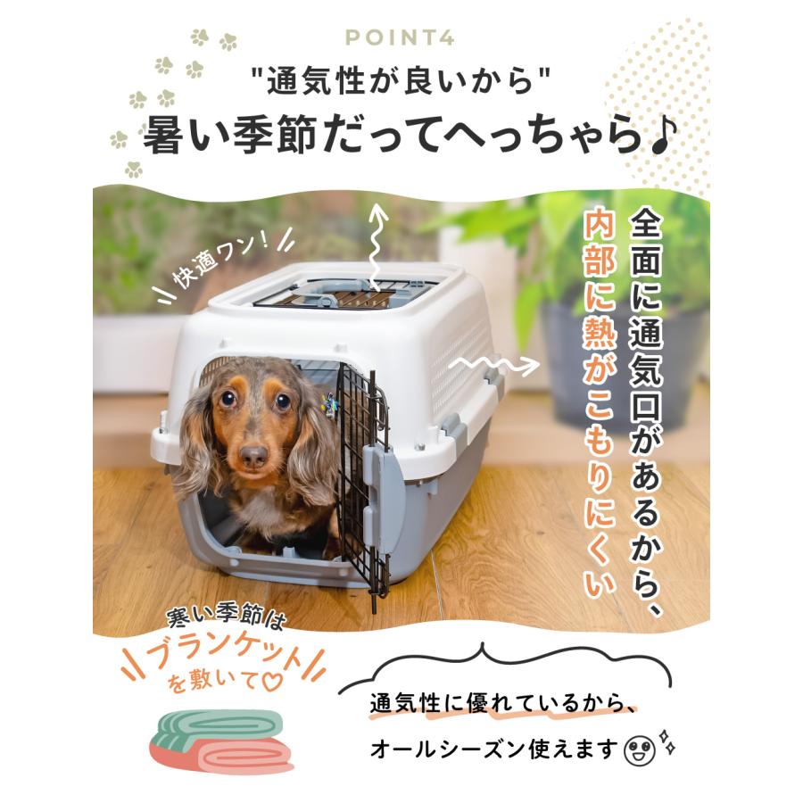 わん茶ちゃん 箱 犬タグ付 わん紅茶 人気 プチギフト ティーバッグ 山壽杉本商店 : 町の