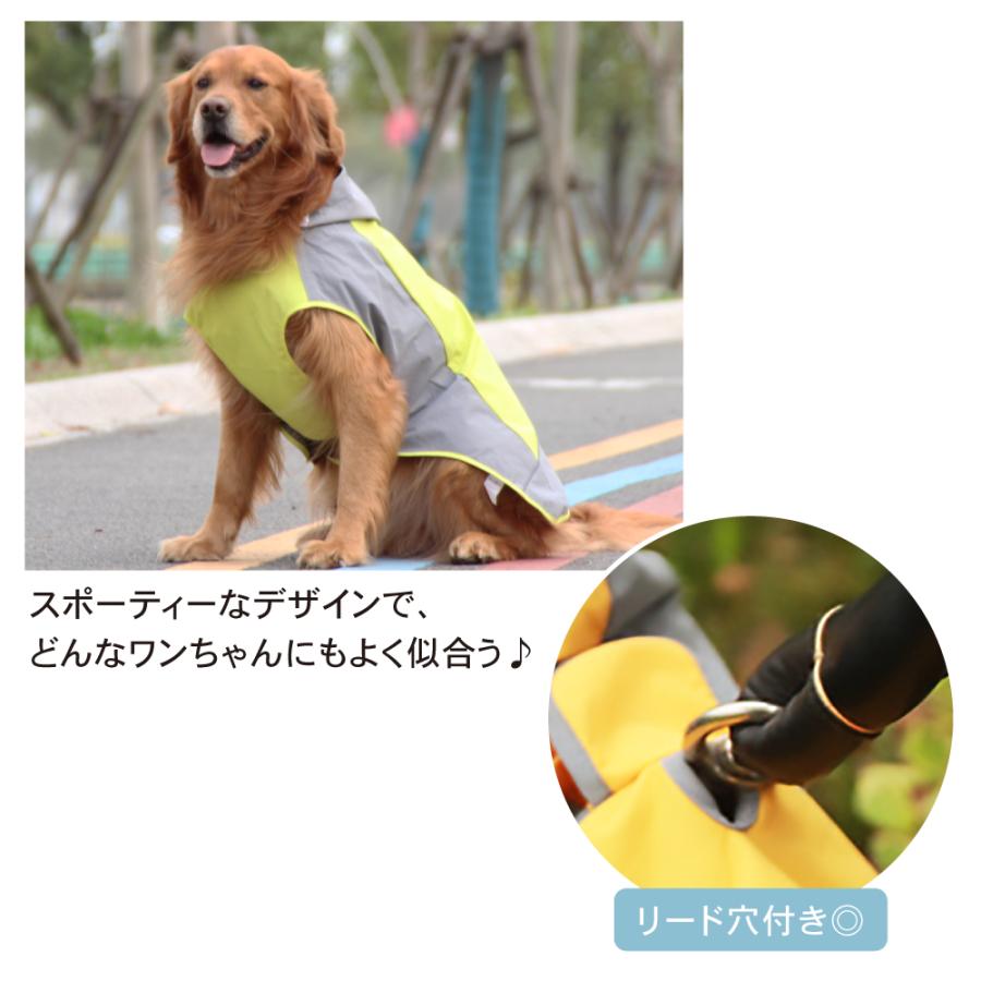 芝犬です。 かーずdeeluxe Amazon.com : Exmark 116-8910 Seat Track Set