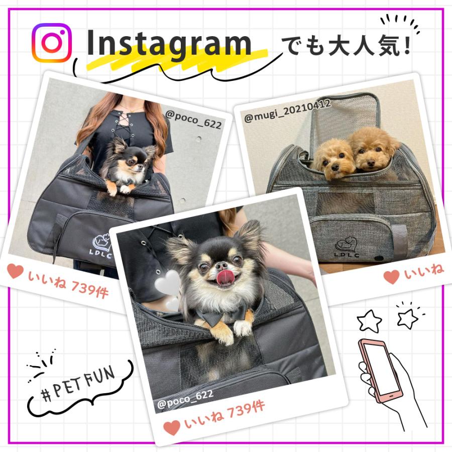 2WAY ペットキャリーバッグ 犬 キャリー 猫 ペットキャリー ケース