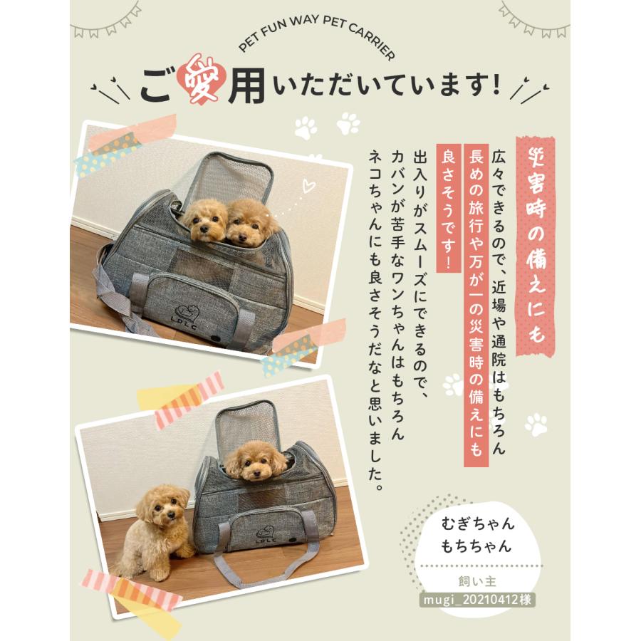 2WAY ペットキャリーバッグ 犬 キャリー 猫 ペットキャリー