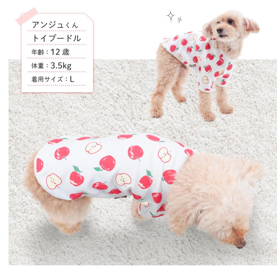 プードルさん専用 トイプードル｜犬種別に選ぶ｜高品質・高機能 ドッグフード プロマネージ™