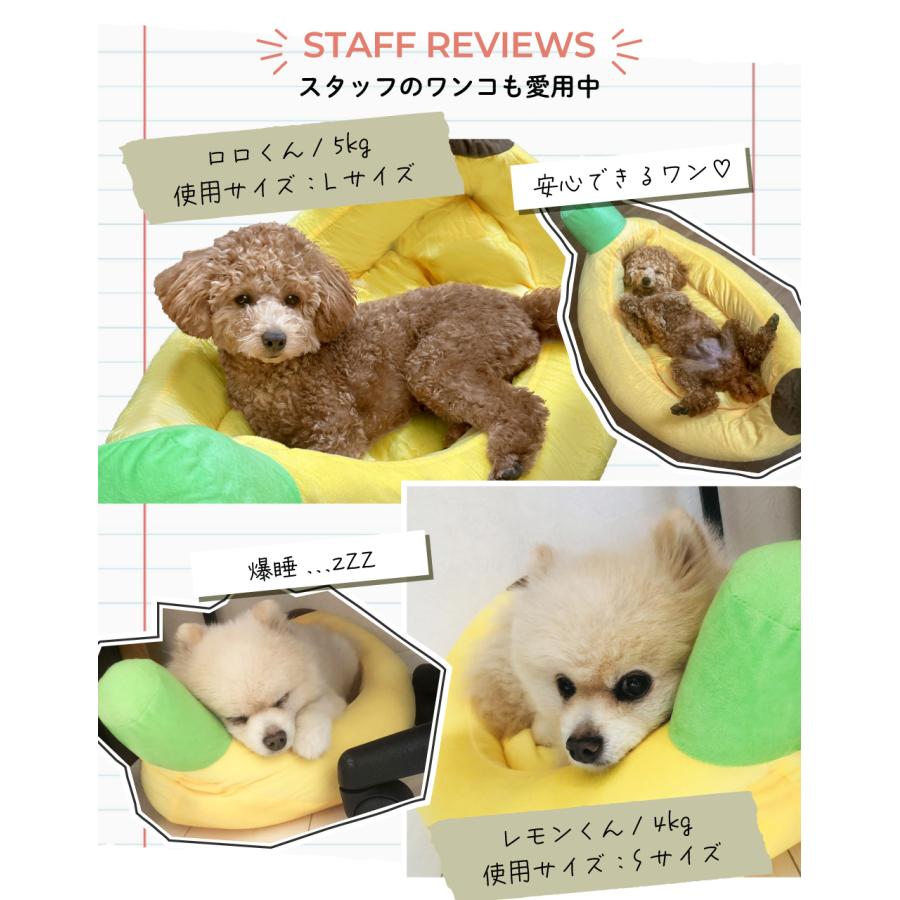 テディベア　大 犬 おもちゃ 音が鳴る 音が出るぬいぐるみ ペット玩具 犬玩具
