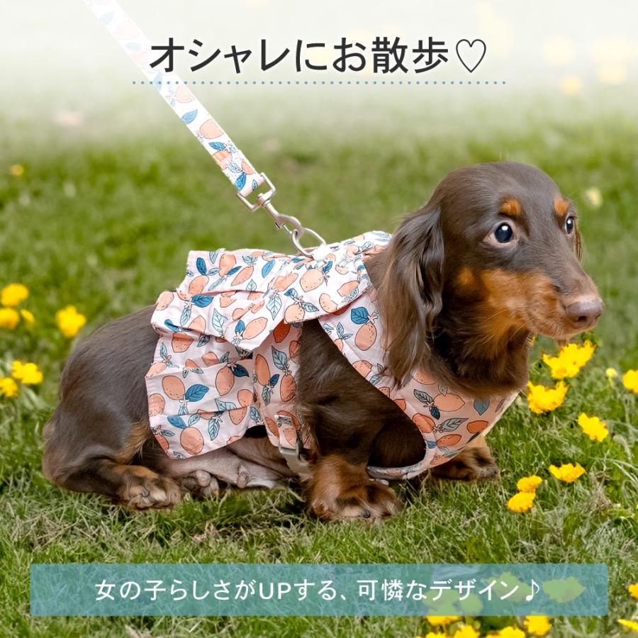 リード付きウェア型ハーネス ハーネス リード セット ハーネスリード
