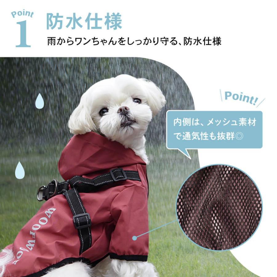 店舗限定カラー　シーズー　上下セット ペットドライヤー ペットグルーミング用の犬ドライヤー 高速ペット