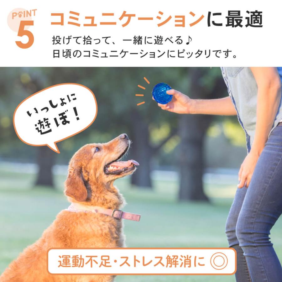 ペットボール3個セット 犬用おもちゃ 犬 おもちゃ オモチャ 犬用