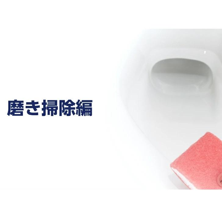 ファイブクリーン 30g入×5 弱アルカリ性洗剤 除菌 酸素系洗剤