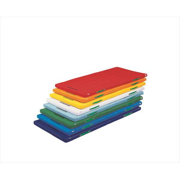 EVERNEW（エバニュー） EKM082-500 抗菌防ダニマット滑止付120×240×5