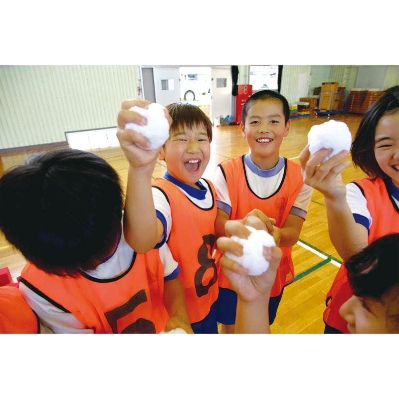 EVERNEW エバニュー いつでも雪合戦スノーボール ETE068 4934048645403の画像