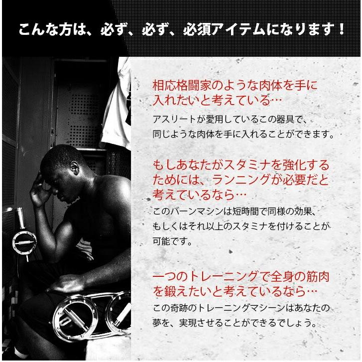 バーンマシーン スピードバッグ 5.5Kg トレーニング フィットネス 肉体