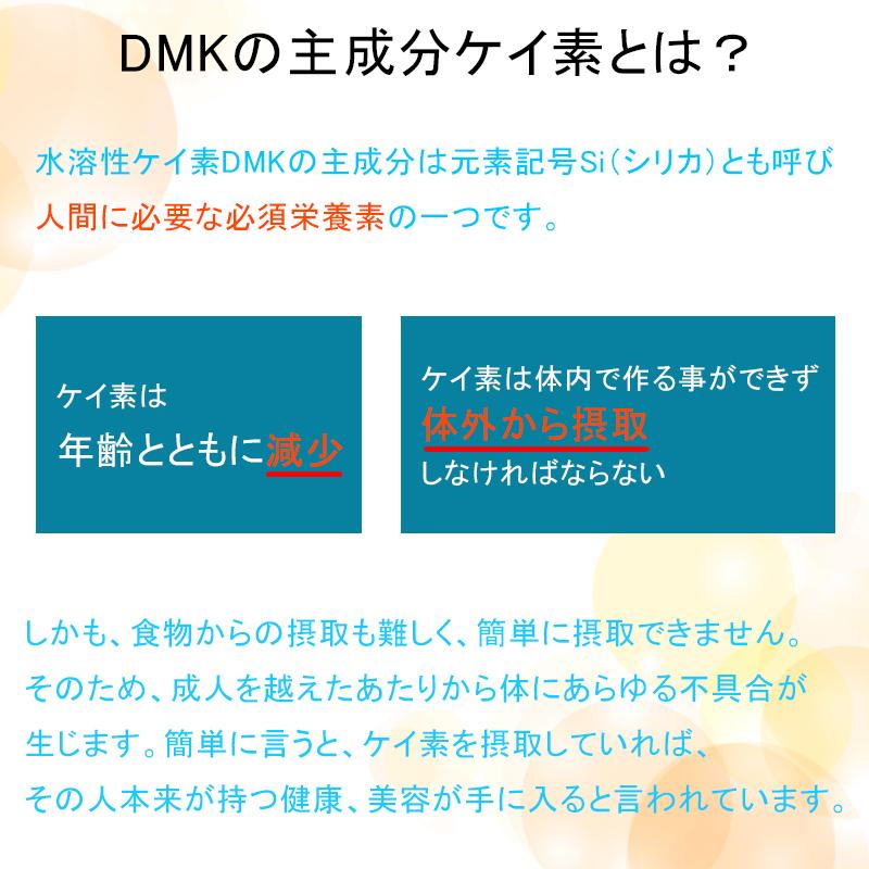 2本セット 水溶性ケイ素 DMK ドクターミネラルK 120ml×2 サプリメント