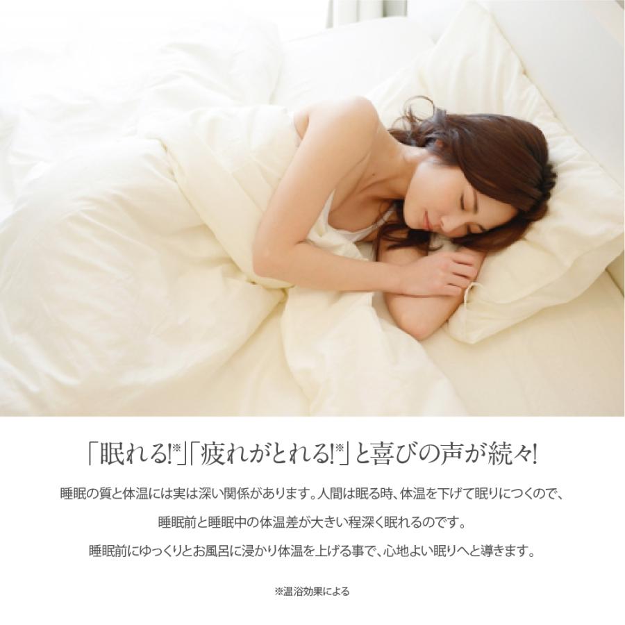 ホットタブ　プロ　90錠　2個セット 薬用重炭酸ホットバブルプロ 2袋セット(90錠×2) 医薬部外品 Hot