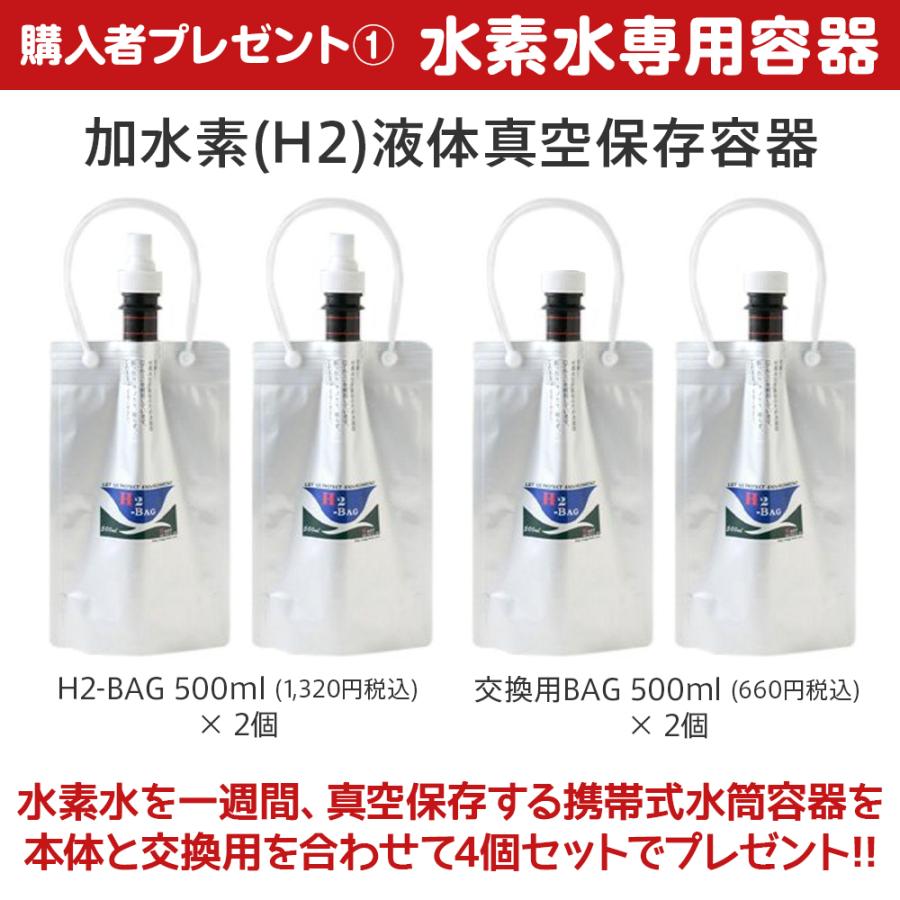 T-ポイント5倍】 新品 H2-BAG 加水素 H2 液体真空保存容器 水素水