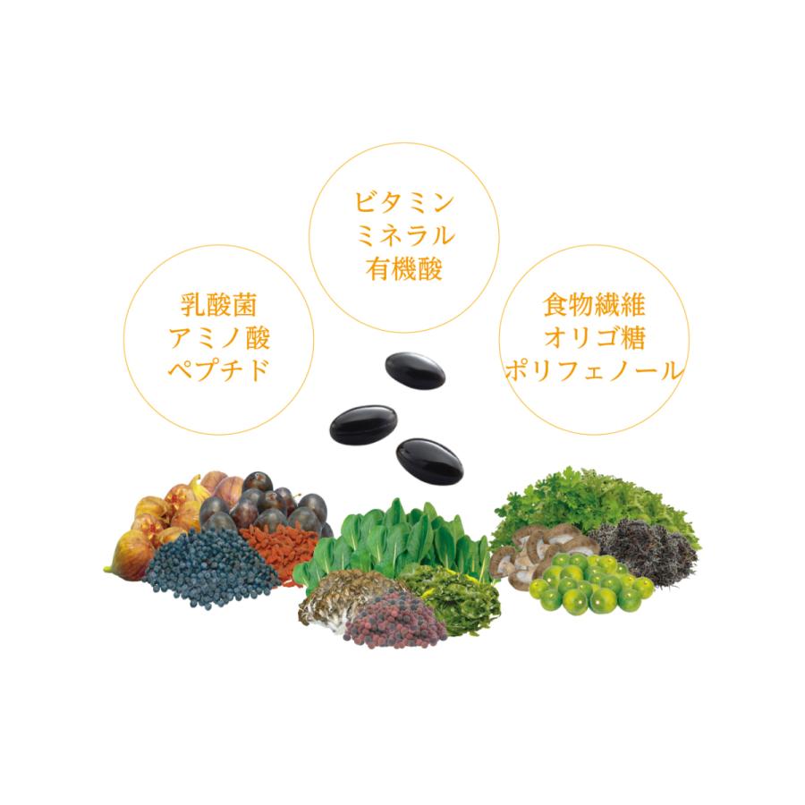 ダイエット食品 OM-X 12Plus 楽天市場】〔P〕オーエムエックス12プラス 580mg×100粒 : 漢方のサツマ