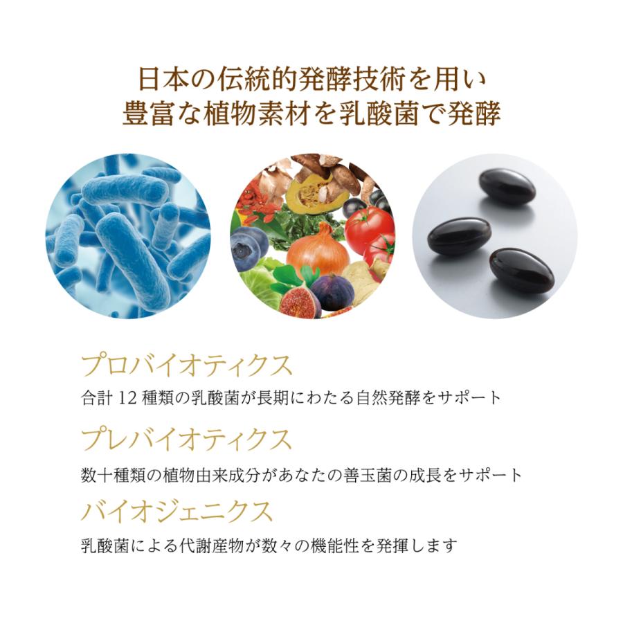 OM-X12PLUS（100粒）x1箱（約1ヶ月分） バイオバンク生酵素サプリ