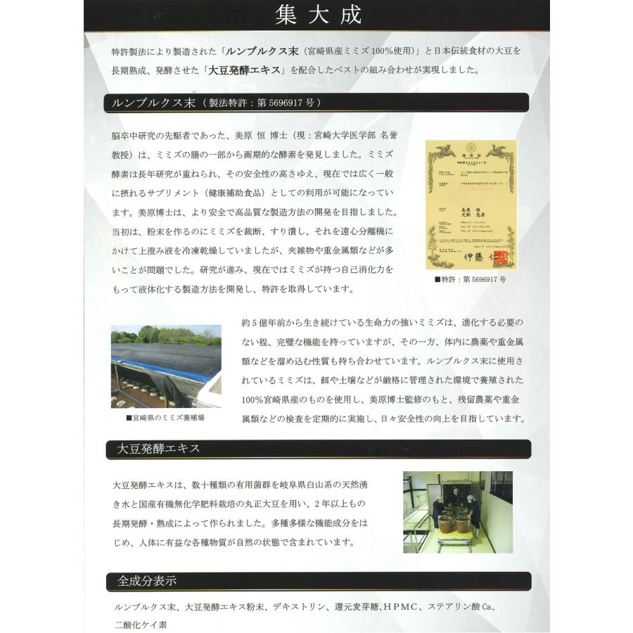 集大成 発酵ルベルス 120粒×2箱 選べるおまけ付き 2個セット しゅう 