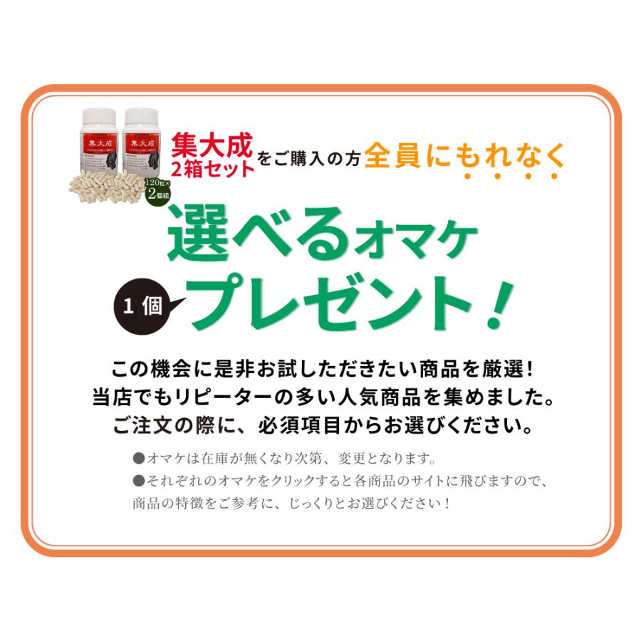 集大成 発酵ルベルス 120粒×2箱 選べるおまけ付き 2個セット しゅう 
