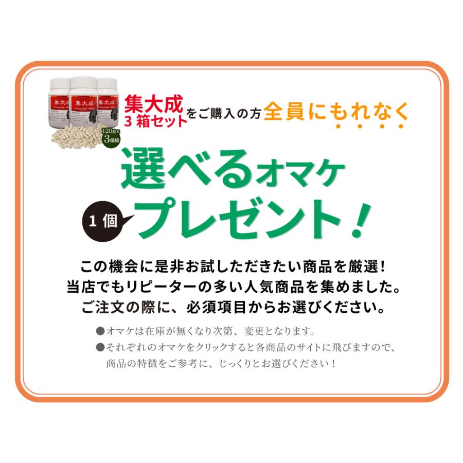 集大成 発酵ルベルス 120粒×3箱 選べるおまけ付き 3個セット しゅう