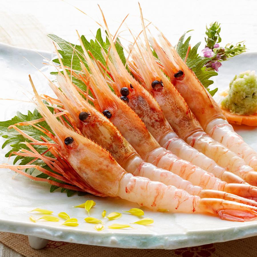 雑誌で紹介された お中元 北海道産 ぼたん海老 180g 3お取り寄せ お土産 ギフト プレゼント 特産品 名物商品 おすすめ Riosmauricio Com