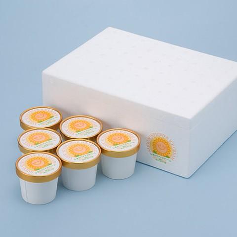 ひまわりアイスクリームセット 130ml&times;10個 兵庫県佐用町 南光ひまわり館 お取り寄せ お土産 ギフト プレゼント 特産品 お中元 おすすめ