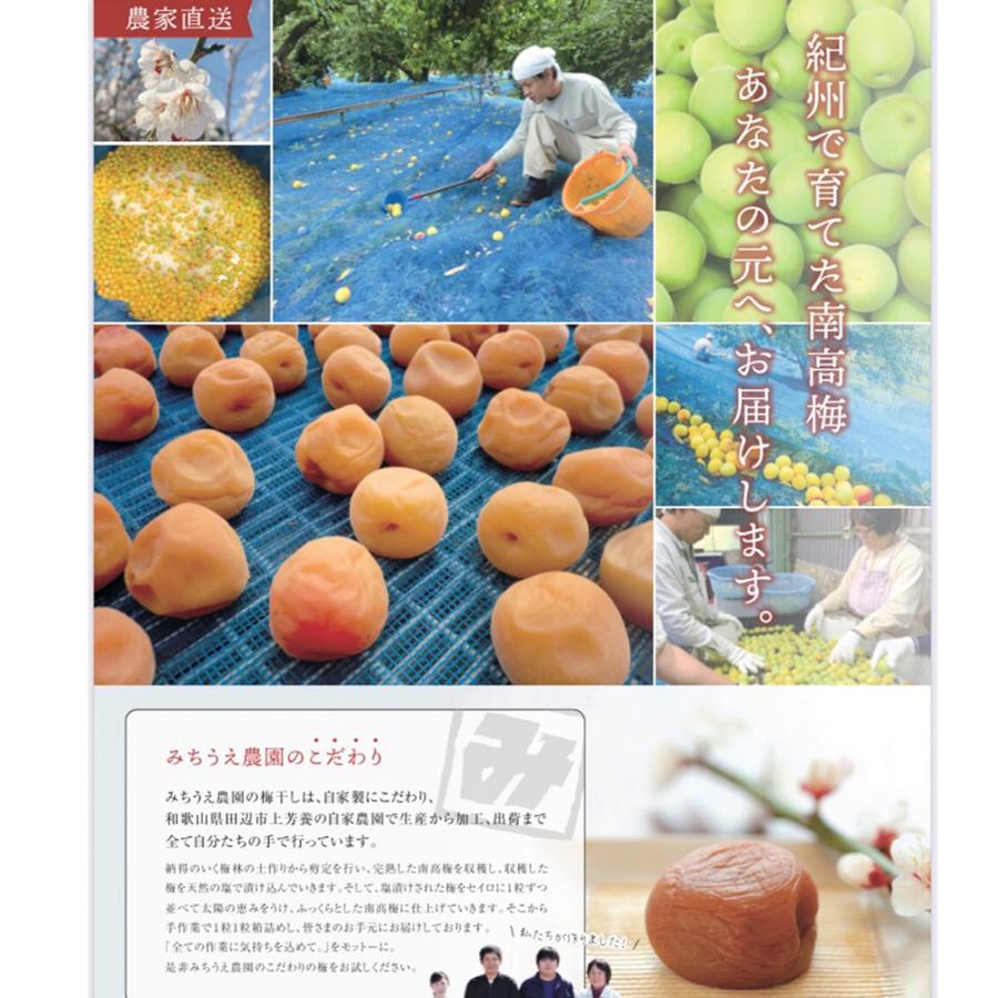 紀州南高梅(白干梅)450g【プレミア和歌山物産展】 梅干し 漬け物 ご飯
