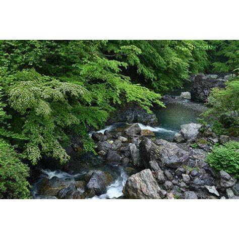 那賀町相生産 あきさかり 玄米 10kg_4