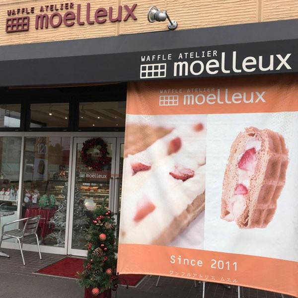 ワッフルアトリエ ムエル 愛媛県産飲むゼリー12本セット ご自宅用 スイーツ お取り寄せ お土産 ギフト プレゼント 特産品 名物商品 母の日 おすすめ|わが街とくさんネット|01