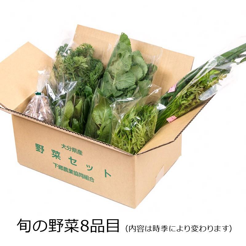 下郷農協の 旬の野菜8品目 大分県 旬 有機野菜 おまかせ 詰め合わせ お取り寄せ｜wagamachi-tokusan