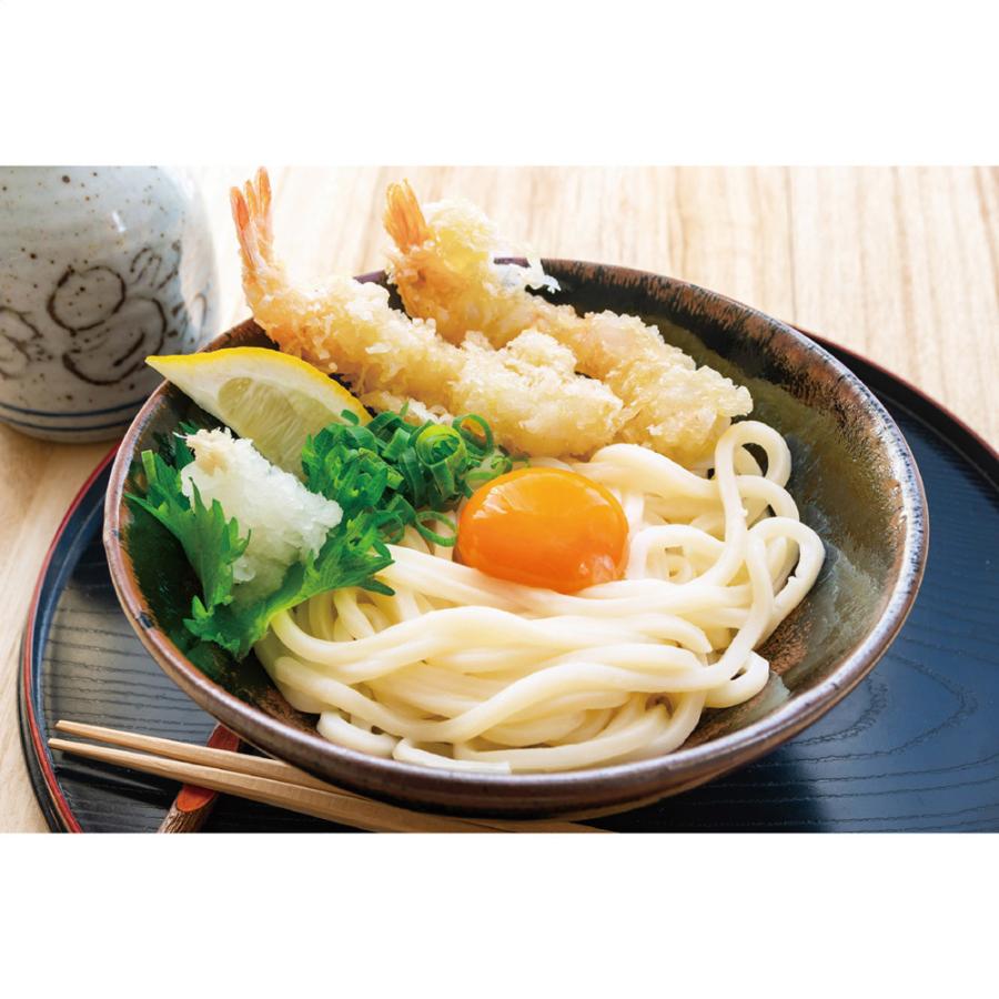 格安saleスタート ギフト お中元 本場 讃岐うどん セット 讃岐うどんセット 小 鎌田醤油 カマダ 送料無料 お取り寄せ2 515円 Stevenbrooke Com