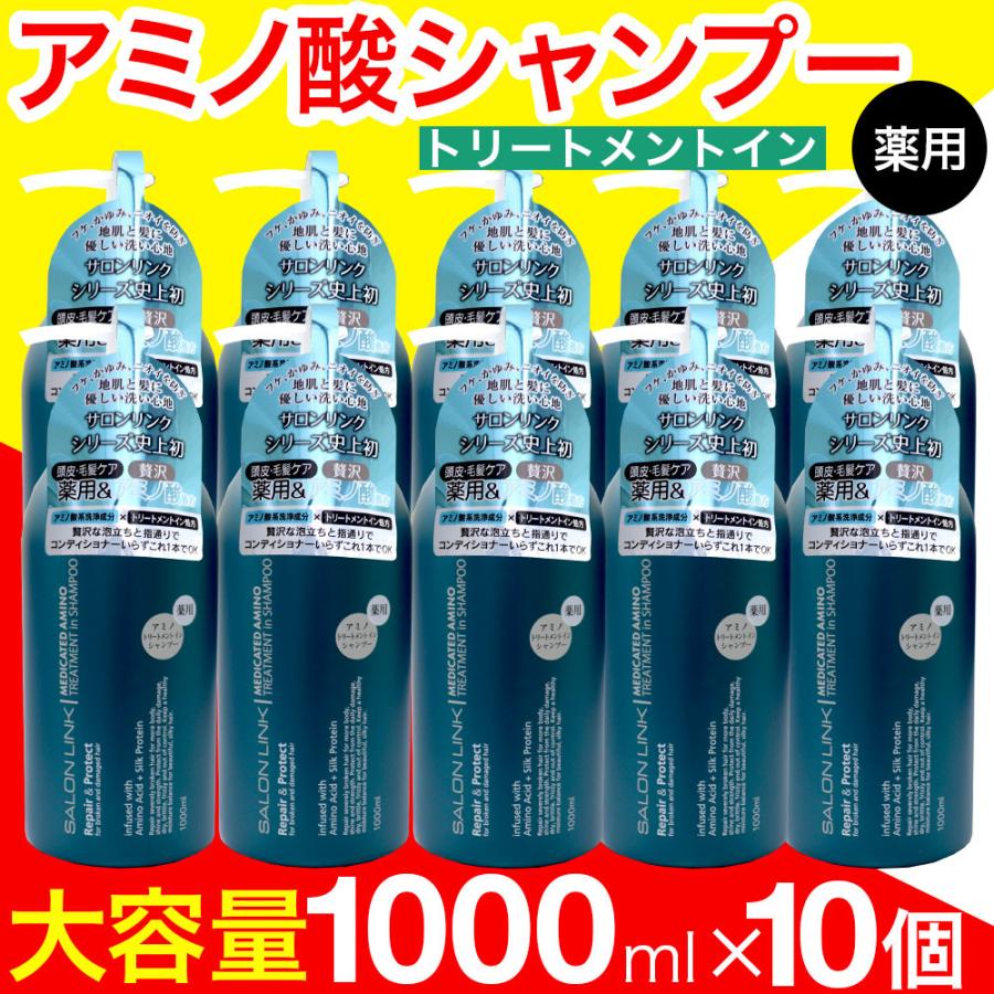 シャンプー 薬用 トリートメントイン アミノ酸 1000ml 10本セット サロンリンク 医薬部外品 爆買