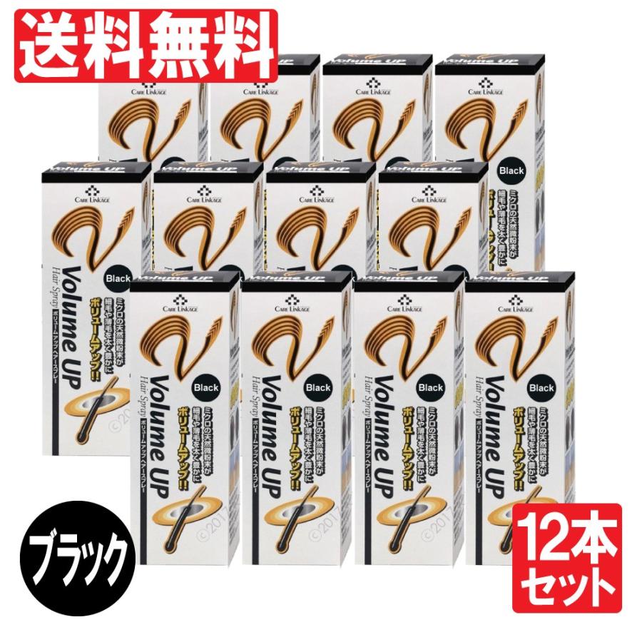 増毛スプレー ブラック ヘアスプレー 瞬間増毛 薄毛 抜毛 対策 ボリュームアップ 200ｇ 12本セット 送料無料 PINOLE 増毛スプレー ブラック 2400g（200g×12本セット）瞬間増毛
