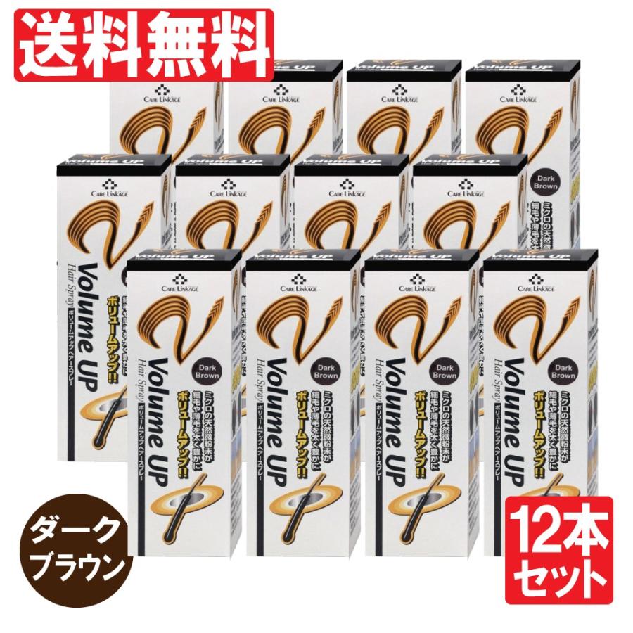 増毛スプレー ダークブラウン ヘアスプレー 瞬間増毛 薄毛 抜毛 対策 ボリュームアップ 200ｇ 12本セット 送料無料 PINOLE（ピノーレ） 増毛スプレー ダークブラウン 2400g 200g×12本